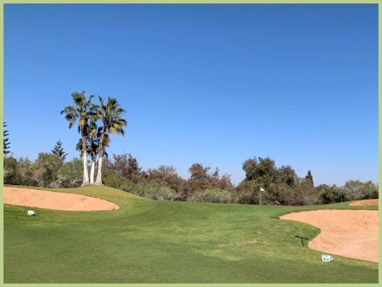 golf feature image